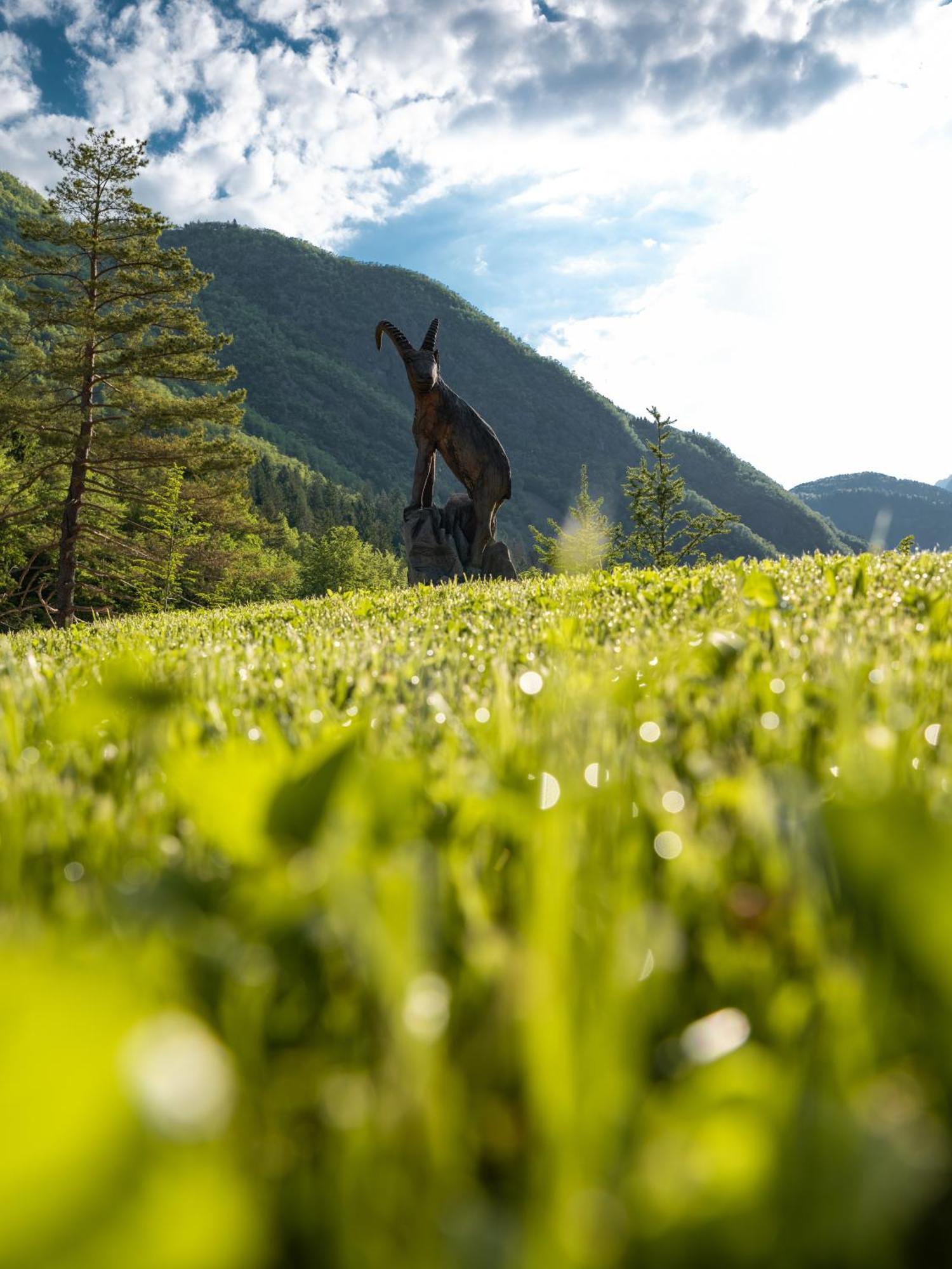 Residence Soča Dış mekan fotoğraf